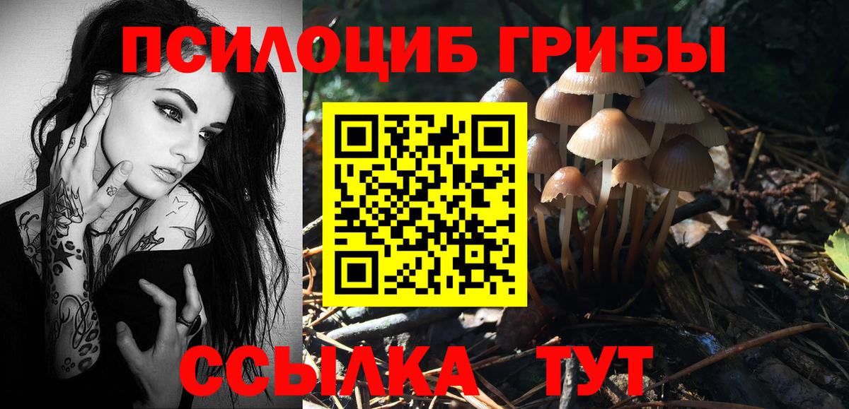 Псилоцибиновые грибы прущие грибы  Вход с VPN  Егорьевск 