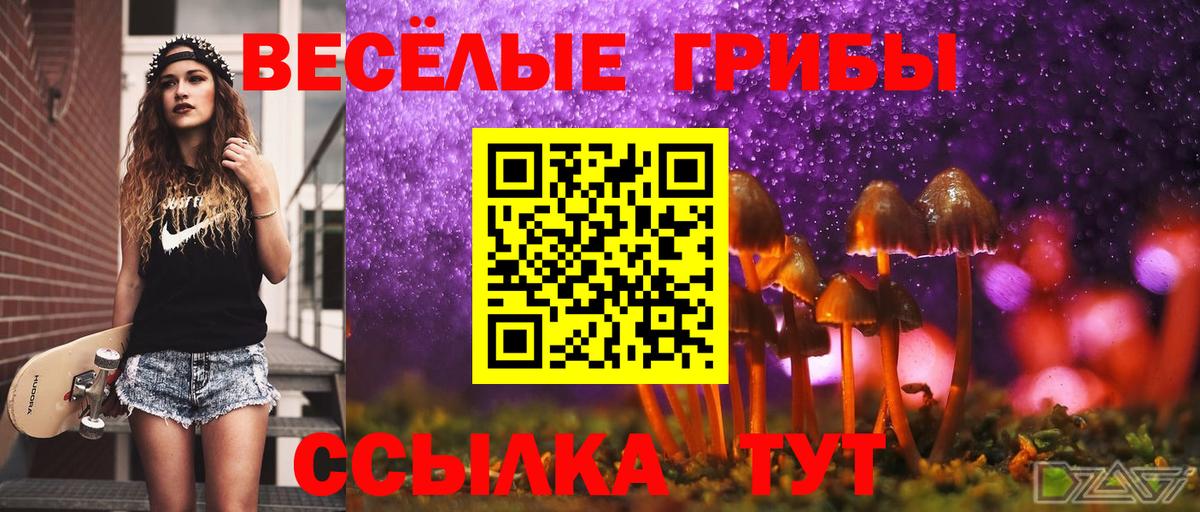 Галлюциногенные грибы Psilocybe Егорьевск